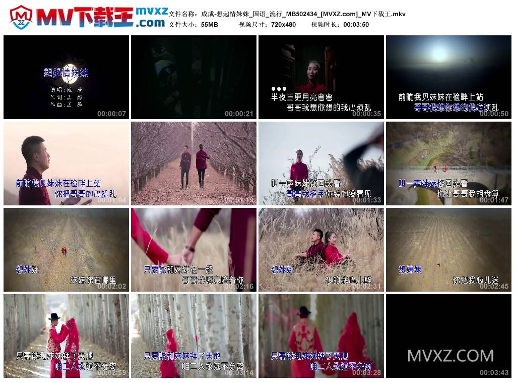 成成-想起情妹妹_国语_流行_MB502434